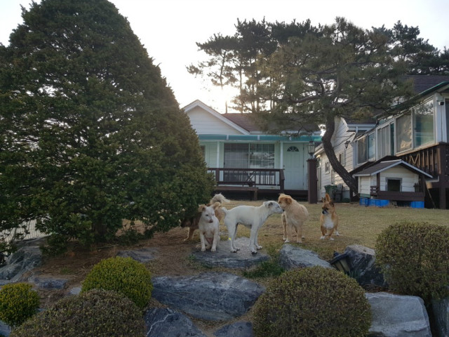 KakaoTalk_20180718_122637086.jpg