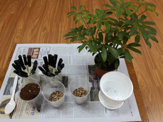 KakaoTalk_20180725_171546398.jpg