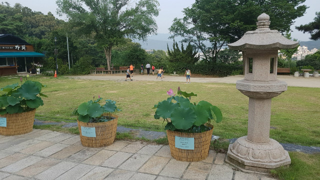 KakaoTalk_20180727_200607632.jpg