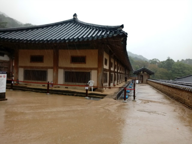 KakaoTalk_20181005_102623129.jpg