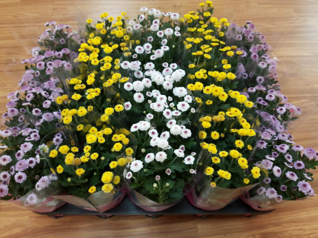 KakaoTalk_20181014_095508942.jpg