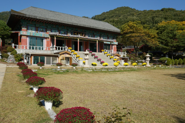 DSC01117.JPG