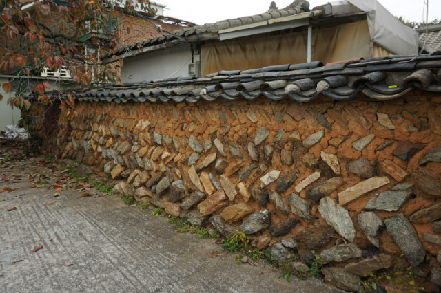 DSC01207.JPG