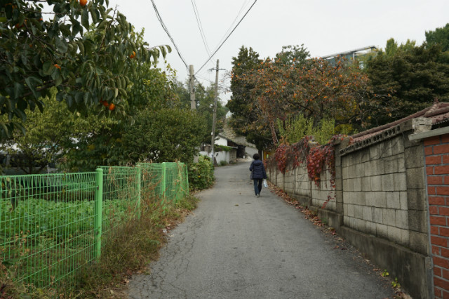 DSC01213.JPG