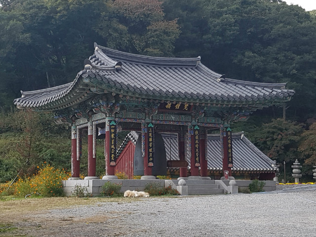 20181010_103840.jpg