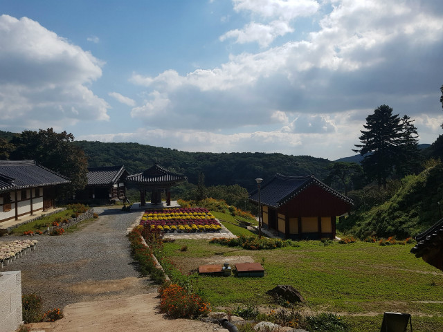 20181010_111351.jpg