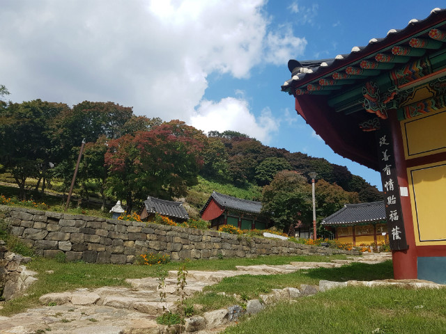 20181010_112543.jpg