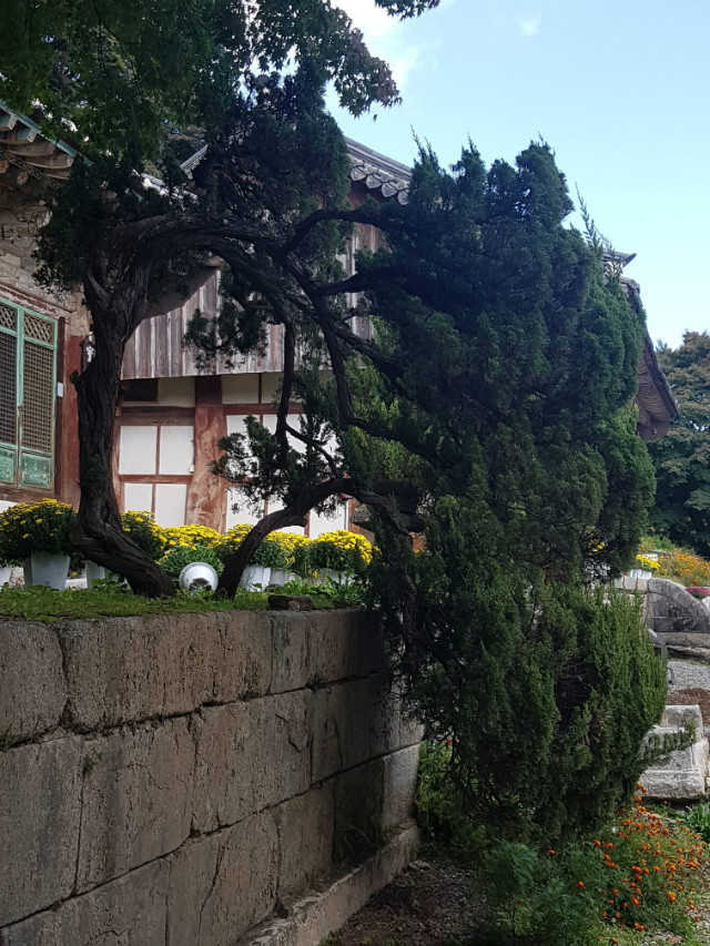 20181010_112830.jpg