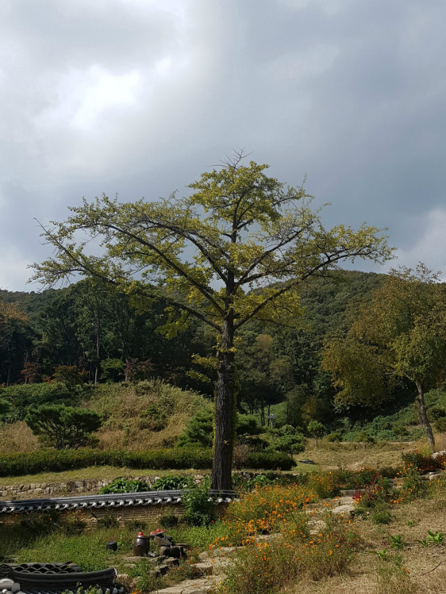 20181010_113646.jpg