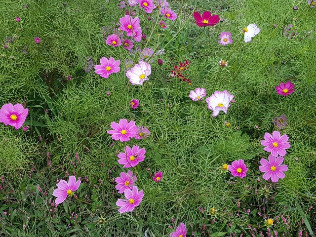 20181010_132911.jpg