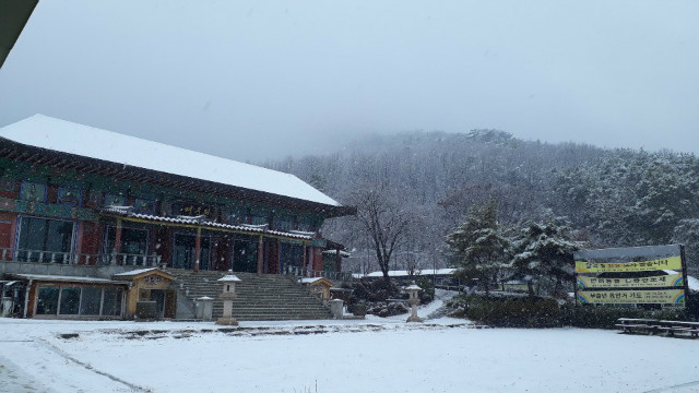 KakaoTalk_20181124_100647350.jpg