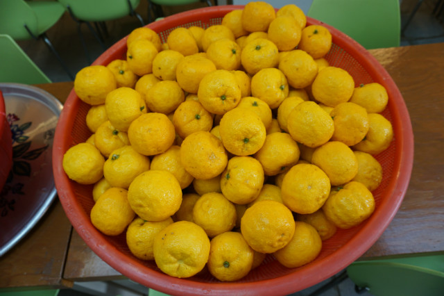 DSC01412.JPG