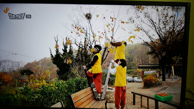 KakaoTalk_20181225_224639772.jpg