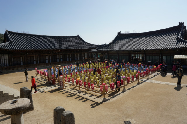DSC02854.JPG