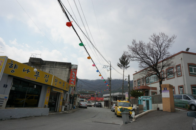 DSC03549.JPG