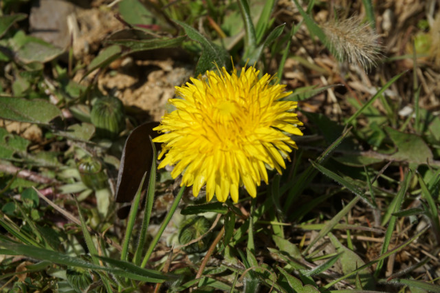 DSC03573.JPG