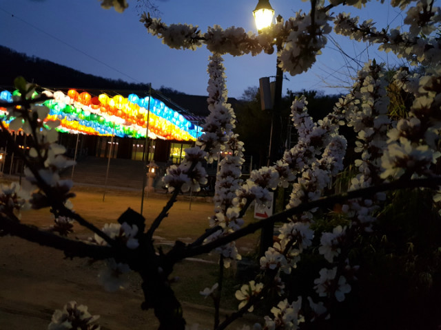 KakaoTalk_20190413_201702932.jpg