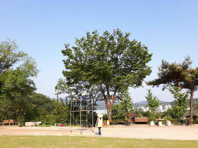 KakaoTalk_20190612_171415477.jpg