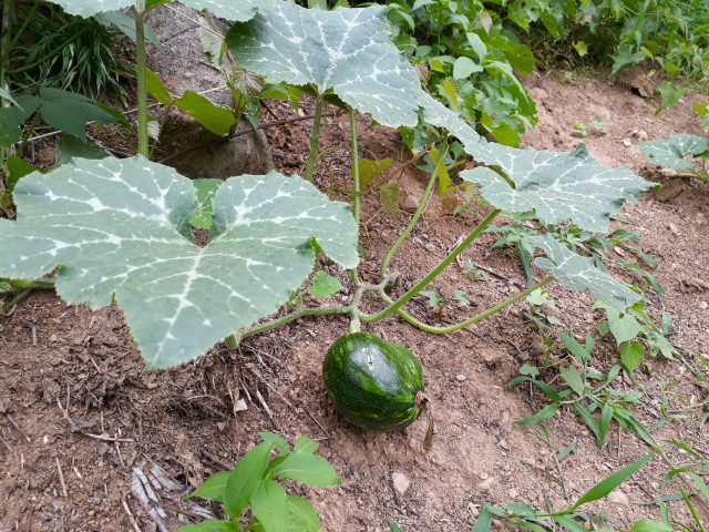 KakaoTalk_20190618_153217625.jpg