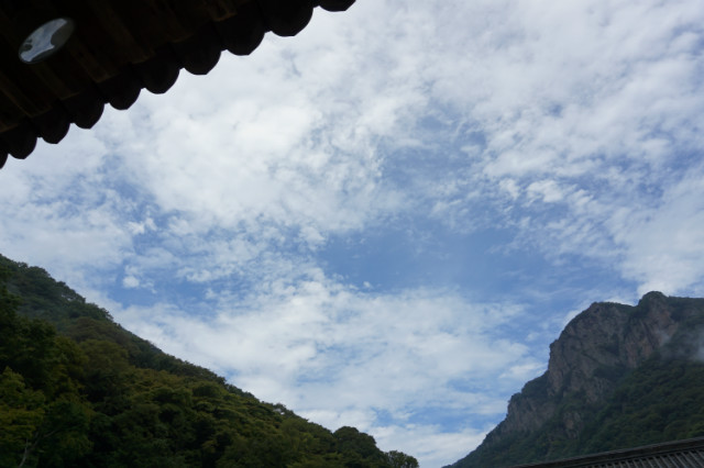 DSC06116.JPG