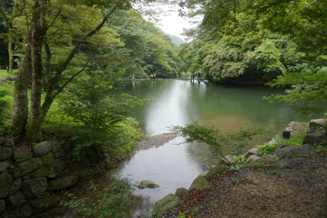 DSC06166.JPG