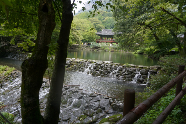 DSC06168.JPG