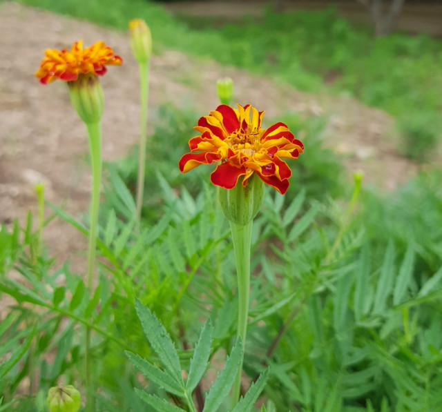 20191028_115333.jpg