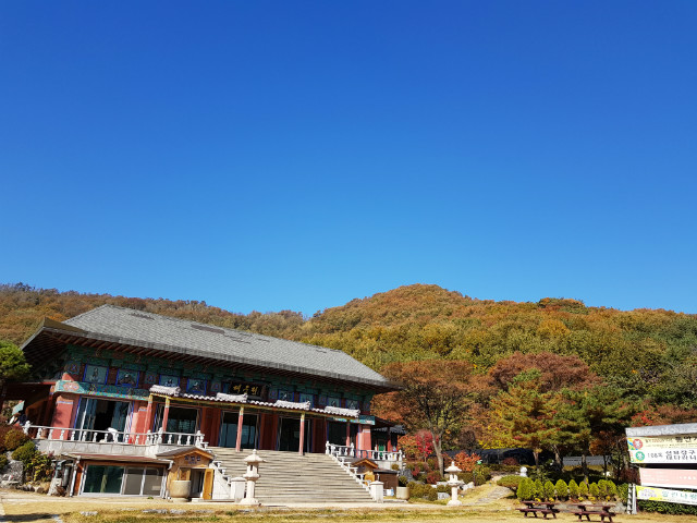 20191108_120149.jpg