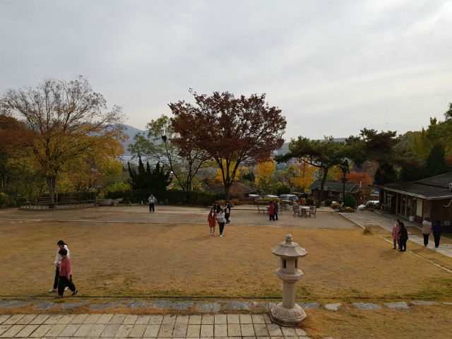 20191112_110754.jpg