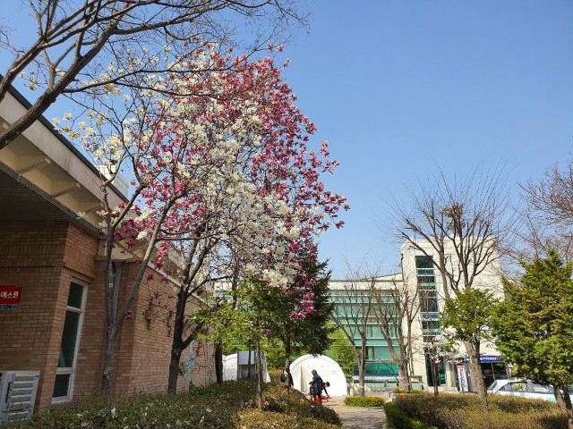 KakaoTalk_20200401_164725445.jpg