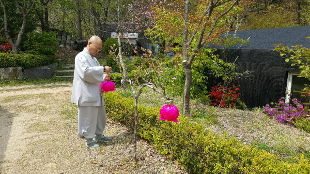 KakaoTalk_20200425_161915876.jpg
