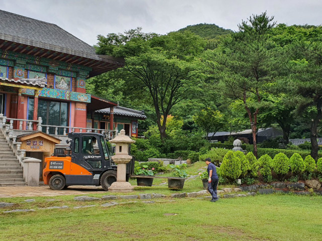 연꽃1.jpg