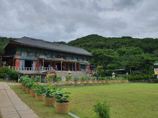 연꽃8.jpg