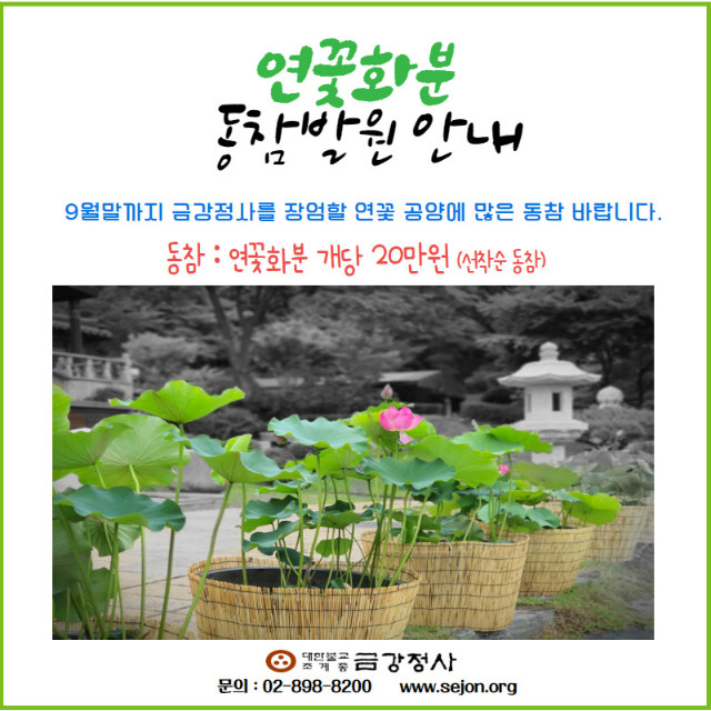 연꽃공양 (1).jpg