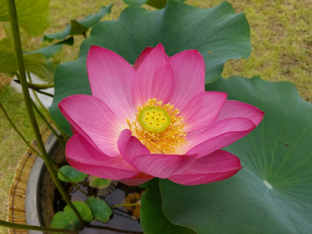KakaoTalk_20200702_125225477.jpg