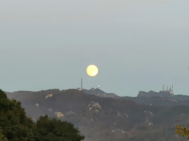 20201030_174440.jpg