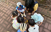 img - 2025-08-22T181329.910.jpg