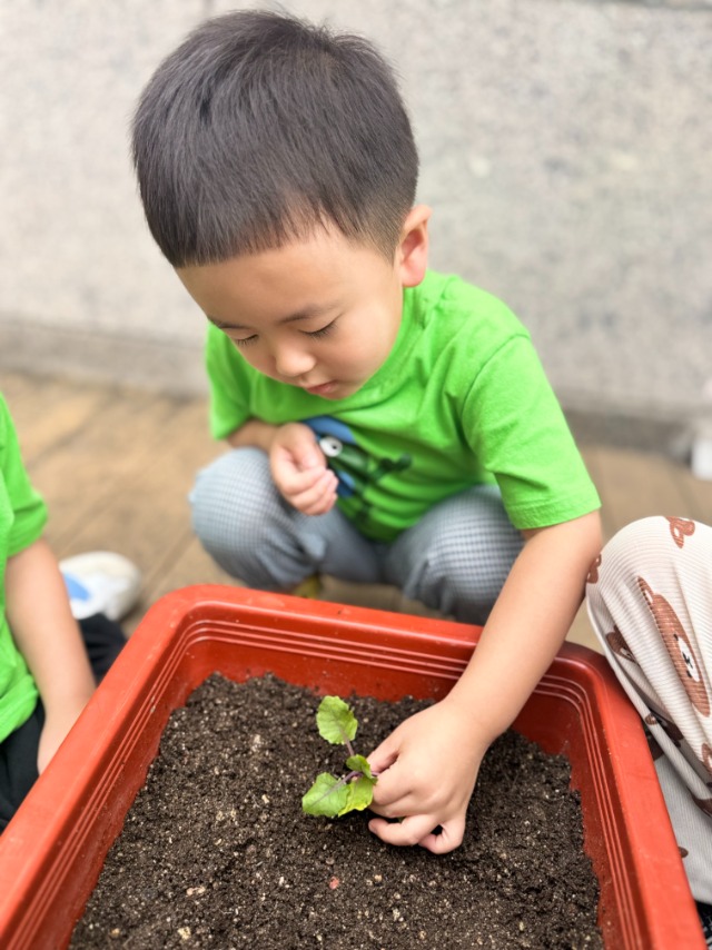 KakaoTalk_20250909_143733270_04.jpg