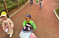 img (75).jpg