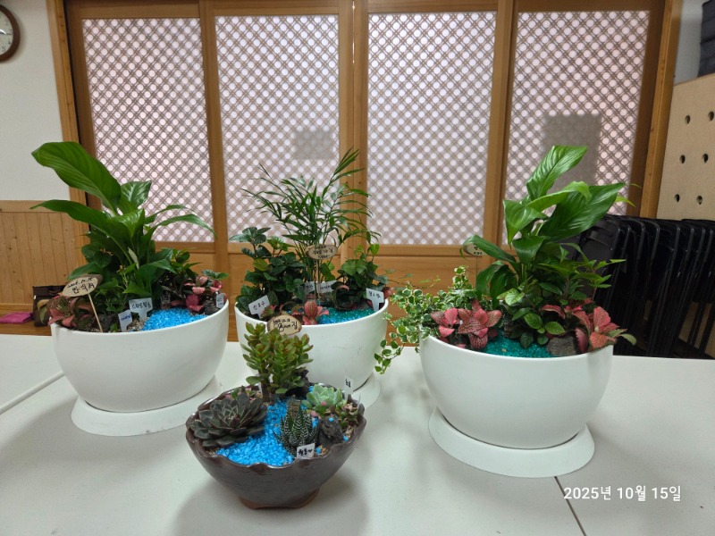 KakaoTalk_20251015_141907792_02.jpg