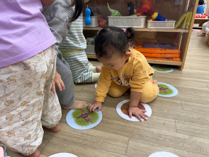KakaoTalk_20251017_125902823_10.jpg