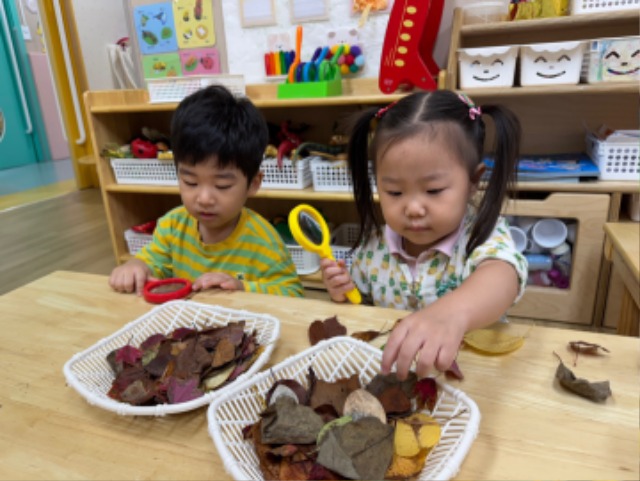 KakaoTalk_20251017_134632150.jpg