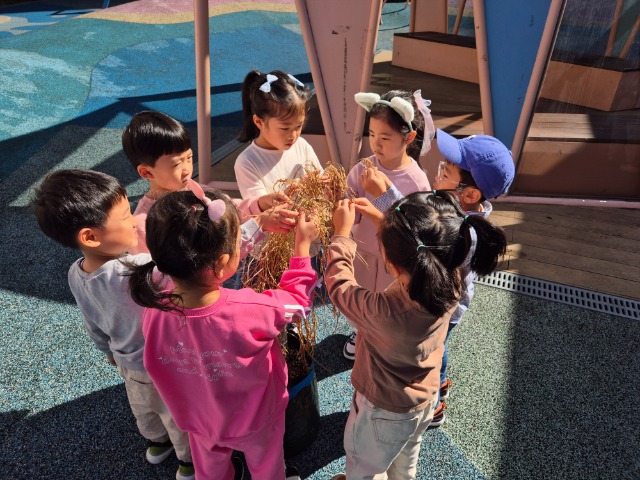KakaoTalk_20251017_171134802_03.jpg