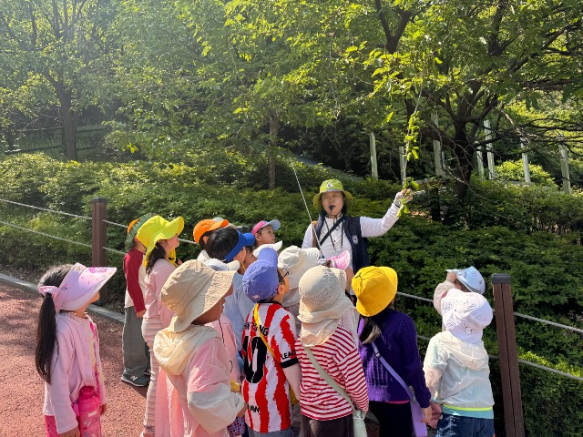 KakaoTalk_20260515_163142245.jpg
