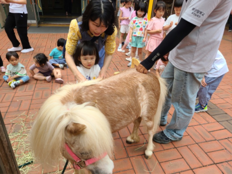 img (2).jpg