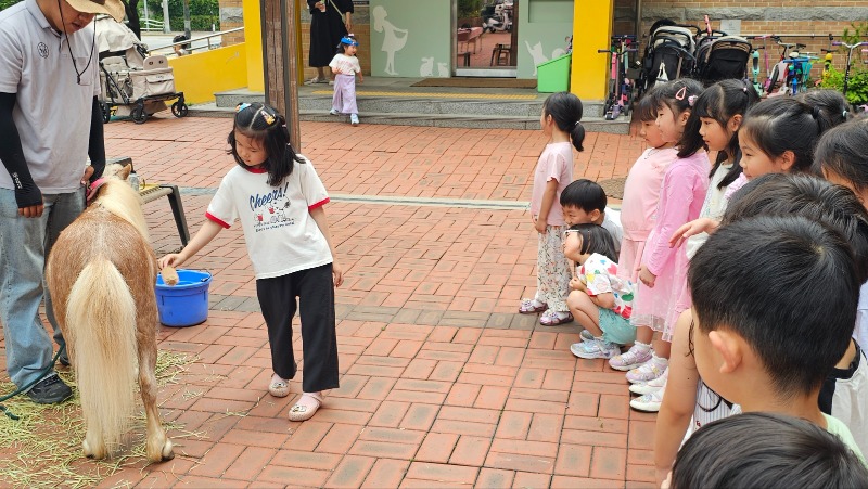 KakaoTalk_20260617_134434374.jpg