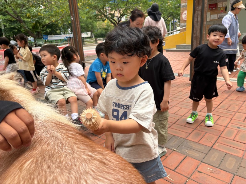 KakaoTalk_20260617_134622121_01.jpg