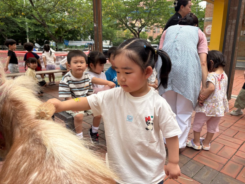 KakaoTalk_20260617_134622121_02.jpg