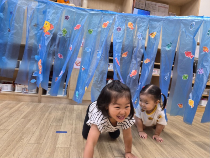 img (9).jpg