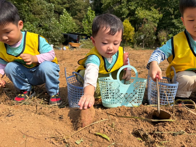 KakaoTalk_20261012_135450411_03.jpg
